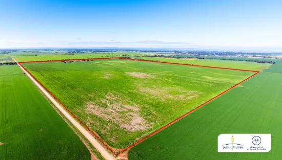 1330 Mallala Road, Korunye, SA 5502