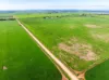 1330 Mallala Road, Korunye, SA 5502-Image