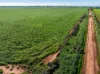 1330 Mallala Road, Korunye, SA 5502-Image