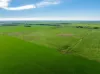1330 Mallala Road, Korunye, SA 5502-Image