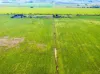 1330 Mallala Road, Korunye, SA 5502-Image