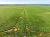 1330 Mallala Road, Korunye, SA 5502-Image