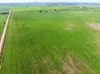 1330 Mallala Road, Korunye, SA 5502-Image