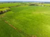 1330 Mallala Road, Korunye, SA 5502-Image