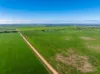 1330 Mallala Road, Korunye, SA 5502-Image
