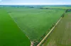 1330 Mallala Road, Korunye, SA 5502-Image