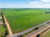 1330 Mallala Road, Korunye, SA 5502-Image