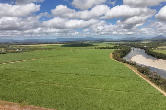 14 Magees Road, Bloomsbury, Qld 4799