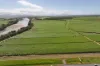 14 Magees Road, Bloomsbury, Qld 4799-Image