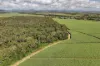 14 Magees Road, Bloomsbury, Qld 4799-Image