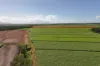 14 Magees Road, Bloomsbury, Qld 4799-Image