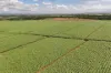 14 Magees Road, Bloomsbury, Qld 4799-Image