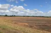 14 Magees Road, Bloomsbury, Qld 4799-Image