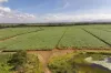 14 Magees Road, Bloomsbury, Qld 4799-Image