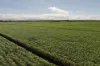 14 Magees Road, Bloomsbury, Qld 4799-Image