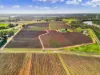 157 Cassia Street, Red Cliffs VIC 3496-Image