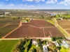 157 Cassia Street, Red Cliffs VIC 3496-Image