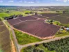 157 Cassia Street, Red Cliffs VIC 3496-Image