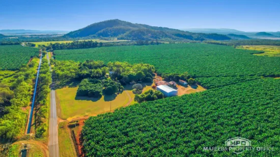 1597 Chewko Road, Walkamin, Qld 4872