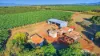 1597 Chewko Road, Walkamin, Qld 4872-Image