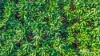 1597 Chewko Road, Walkamin, Qld 4872-Image