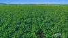 1597 Chewko Road, Walkamin, Qld 4872-Image