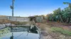 1597 Chewko Road, Walkamin, Qld 4872-Image
