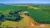 1597 Chewko Road, Walkamin, Qld 4872-Image