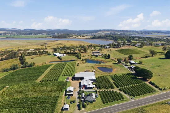 161 John Lees Drive, Dilston, Tas 7252
