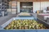161 John Lees Drive, Dilston, Tas 7252-Image