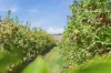 161 John Lees Drive, Dilston, Tas 7252-Image