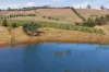 161 John Lees Drive, Dilston, Tas 7252-Image