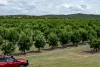166 Grays Road, Wetheron, Qld 4625-Image