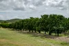 166 Grays Road, Wetheron, Qld 4625-Image
