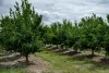 166 Grays Road, Wetheron, Qld 4625-Image