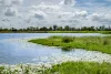 166 Grays Road, Wetheron, Qld 4625-Image