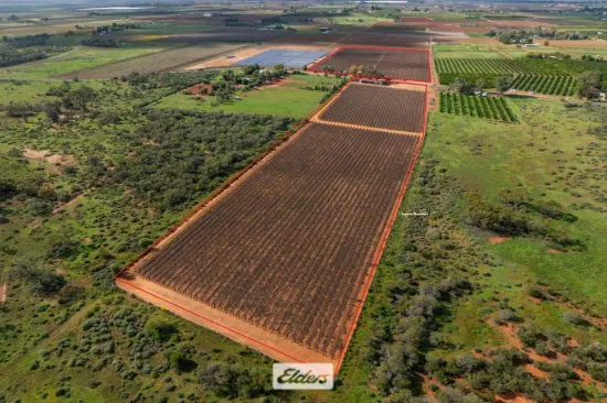 166 Keenans Drive, Coomealla, NSW 2717