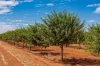 17071 Goyder Highway, Monash, SA 5342-Image