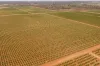 17071 Goyder Highway, Monash, SA 5342-Image