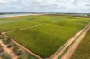 190 Delite Way, Red Cliffs, Vic 3496-Image
