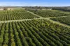 201 Bookine Road, Neergabby, WA 6503-Image