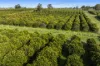 201 Bookine Road, Neergabby, WA 6503-Image
