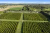 201 Bookine Road, Neergabby, WA 6503-Image