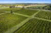 201 Bookine Road, Neergabby, WA 6503-Image