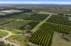 201 Bookine Road, Neergabby, WA 6503-Image