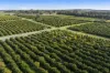 201 Bookine Road, Neergabby, WA 6503-Image