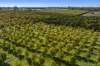 201 Dooling Road, Neergabby, WA 6503-Image