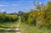 201 Dooling Road, Neergabby, WA 6503-Image