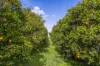 201 Dooling Road, Neergabby, WA 6503-Image