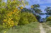 201 Dooling Road, Neergabby, WA 6503-Image